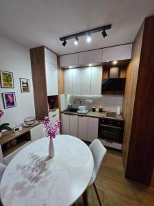 Cucina o angolo cottura di Borovi 24