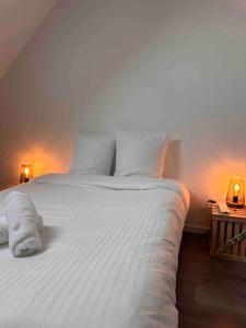 a bedroom with a white bed with two lights on it at Charmante maison de ville aux portes de Dole in Crissey