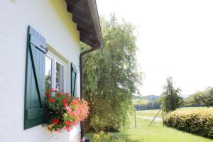 a window with flowers on the side of a building at Ferienwohnung Gerolstein in Büscheich