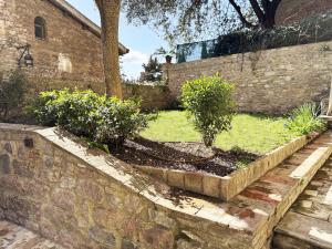 Zahrada ubytování Il Cortile di Assisi