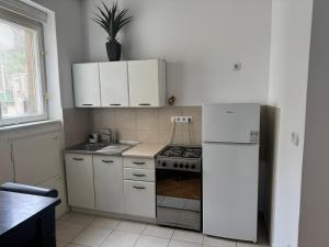 Kuchyňa alebo kuchynka v ubytovaní Studio Apartman Thalia + 14 fotografií