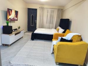 a bedroom with a bed and a couch and a tv at Staycation by Winnie-NAIPOSHA STUDIOS in Naivasha