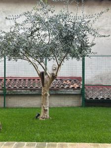 Zahrada ubytování Lanternone nel Borgo - Appartamento di Charme con Giardino