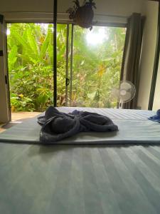 a pair of towels sitting on top of a bed at Mini Jungle Villa in Manzanillo