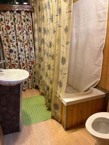 a bathroom with a shower and a toilet and a sink at Highland Queen Houseboat in Srinagar +20 photos