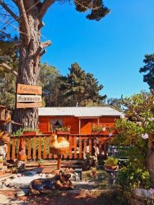 Zahrada ubytování Suite con DESAYUNO SOLO PARA DOS Ó Cabañas familiares Los PINARES DEL MAR -Pet friendly + 15 fotografií