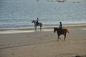 ラルモール・プラージュにあるHôtel & Restaurant LES MOUETTES - Larmor Plage, Proche de LORIENTのギャラリーの写真