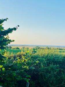 Imagen de la galería de La cabane balnéo vue mer, en Bazenville