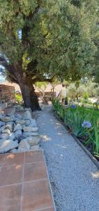 a garden with a tree and a stone path at Casa Llogan 4P Quinta das Pedras da Lagoa in Alcobaça