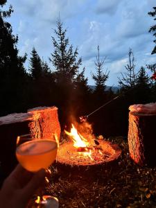 a person holding a wine glass next to a fire at Kokava Línia chata 2 in Kokava na Rimavica