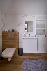 a bathroom with a sink and a toilet and a mirror at Brzozowy Zakątek in Posada Górna +38 photos