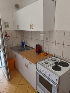 Apartmani Ladaにあるキッチンまたは簡易キッチン