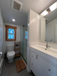 a bathroom with a toilet and a sink and a shower at Phoenicia Bungalow in Phoenicia