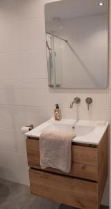 a bathroom with a sink and a mirror at Vakantieverblijf Aan de Vaart in Tynaarlo