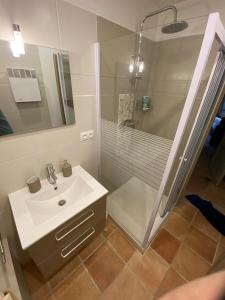 een badkamer met een wastafel en een douche bij La Magistrale in Lorgues