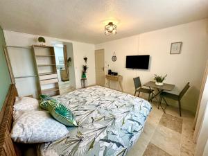 TV a/nebo společenská místnost v ubytování La Chambre Amazonite
