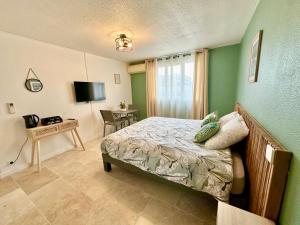 TV a/nebo společenská místnost v ubytování La Chambre Amazonite