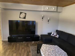 TV a/nebo společenská místnost v ubytování Skräpplinge gård