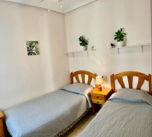 two twin beds in a room with plants on shelves at Casa Rosalia in Orihuela Costa +12 photos