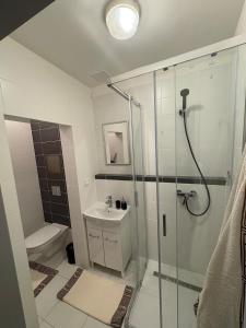 une salle de bain avec douche, lavabo et toilettes dans l'établissement Apartmán u parku Parukářka, à Prague 9 autres photos
