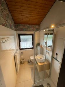 a bathroom with a shower and a toilet and a sink at H5 Haus Schwalbennest Kaminofen WLAN in Butjadingen
