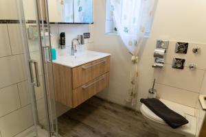 a bathroom with a toilet and a sink and a shower at Ferienwohnung Auf Einem Reiterhof in Weißenstadt