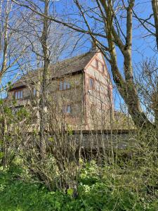 an old red house in the middle of trees at Hardy View Farm House in Dorchester