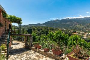 a view from a house with potted plants at Rigas traditional hospitality in Embrósneros