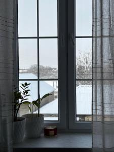 a window with two potted plants on a window sill at ELAY Apartments in Baku
