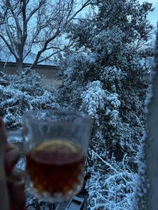 a person holding a glass of wine in the snow at ELAY Apartments in Baku +2 photos
