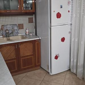 a kitchen with a white refrigerator and a sink at Villa Topuzi Second Floor in Pogradec