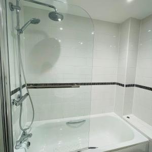 a bathroom with a shower and a bath tub at Rock Lobster in Camber +30 photos