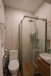 een badkamer met douche, toilet en wastafel bij Rezis sweet home in Tbilisi City