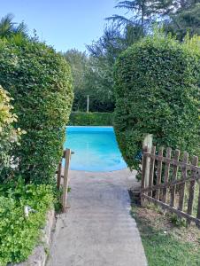 a swimming pool through a hedge with a fence at La Serena in Azul