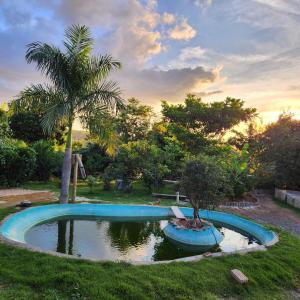 a small pool with a palm tree in a yard at sitiolosbragas in Caetanópolis