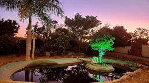 a miniature tree sitting in a pool of water at sitiolosbragas in Caetanópolis