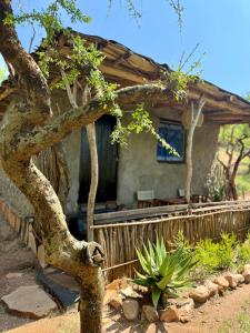 a house with a tree in front of it at Authentic Mara Bush Home in Sekenani
