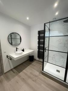a bathroom with a sink and a glass shower at Duplex des souverains in Dinant +7 photos