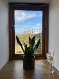 Foto dalla galleria di Stable Cottage by Roslin Glen a Roslin