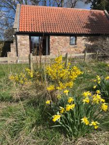 Giardino di Stable Cottage by Roslin Glen