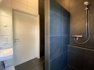 a bathroom with a shower and a toilet and a sink at Ferienwohnung Am Weiher Wohnung 7 Für 4 Personen in Nideggen +7 photos