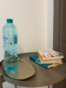 Imagine din galeria proprietății Parcului20 Apart near Romexpo, Herastrau Park în București +9 fotografii