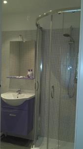 a bathroom with a sink and a glass shower at La Fattoria Barbini B&B in Viterbo