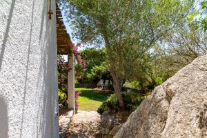 Zahrada ubytování Agriturismo La Valletta + 14 fotografií