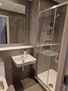 a bathroom with a sink and a shower at Two Three North in Balgriffin