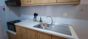 a kitchen with a sink and a stove at Makis Apartments Flogita in Flogita