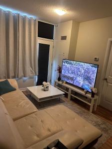 TV a/nebo společenská místnost v ubytování Private comfort room
