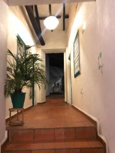 Fotografie z fotogalerie ubytování The Best Adventure Hostel v destinaci San Gil