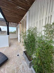 Zahrada ubytování Casa Bugó Arsenal
