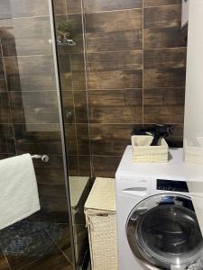 a washing machine in a bathroom with a shower at Mona Lux apartman in Arandelovac +15 photos
